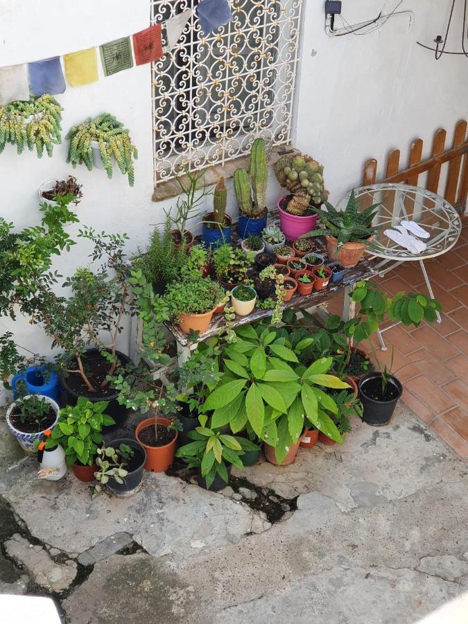 Casa Vera Vejer de la Frontera Luaran gambar